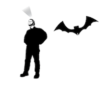 Bat Caver